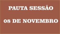 Sessão Legislativa - 08 de novembro